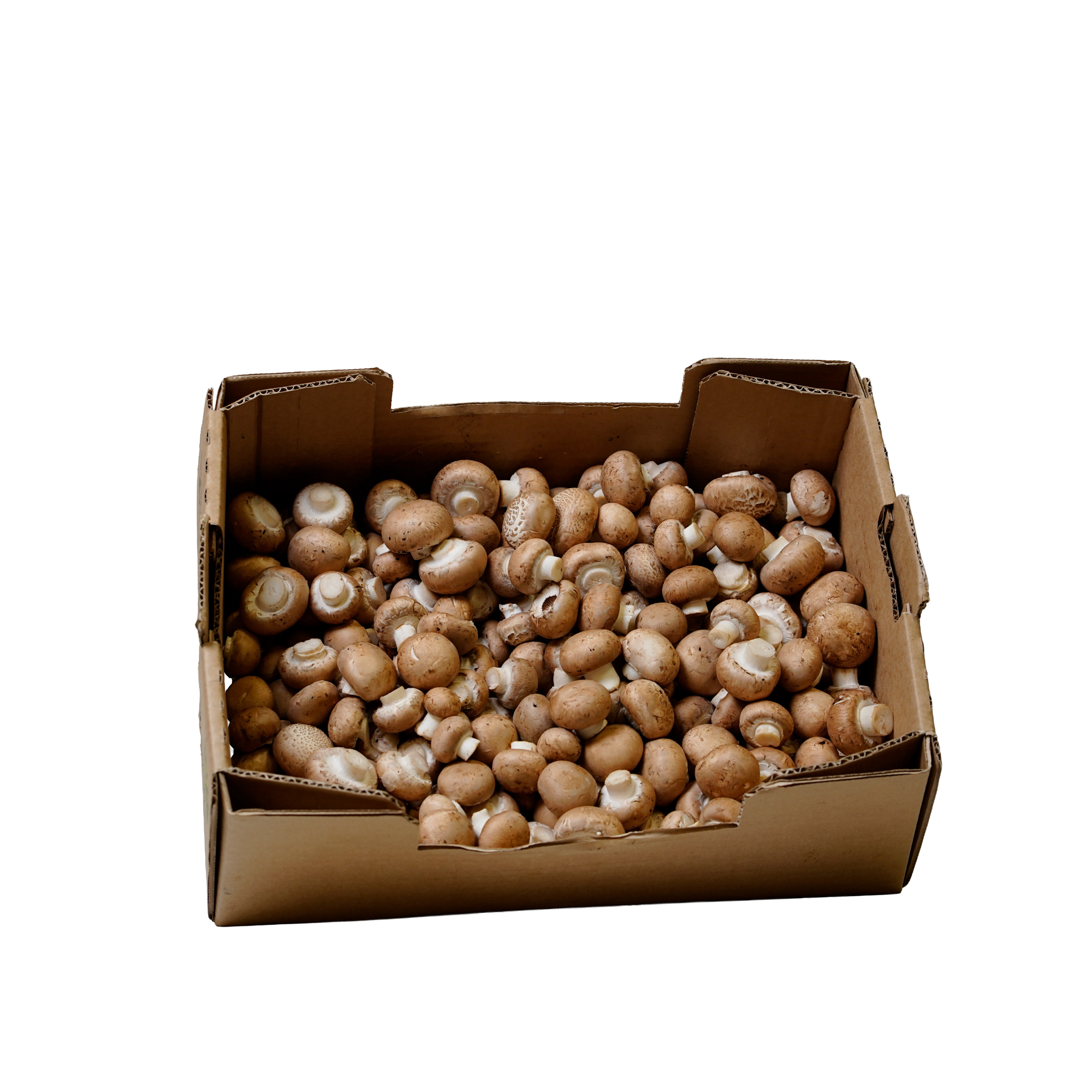 Champinjoner Skogs 3kg