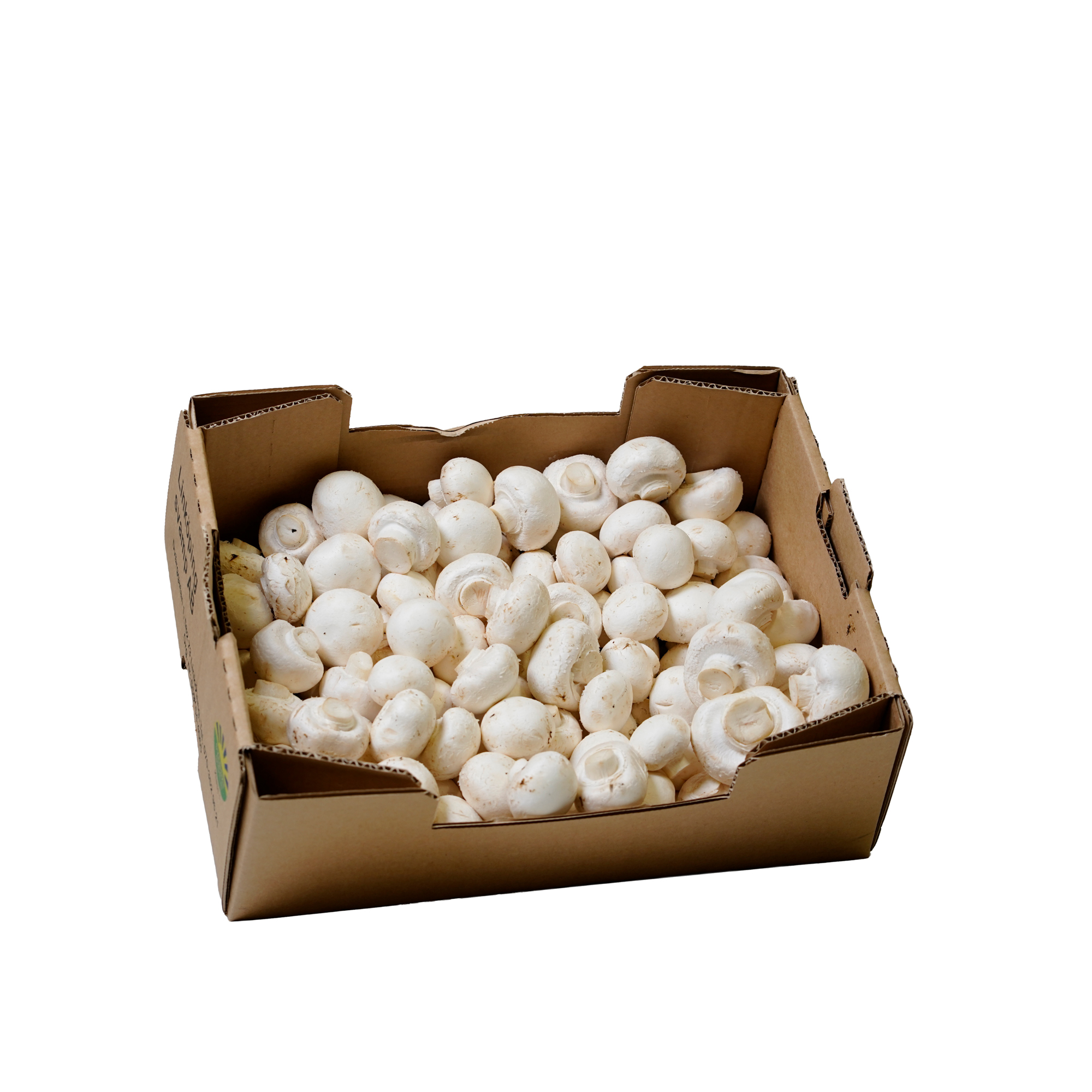 Champinjoner Färska 3kg
